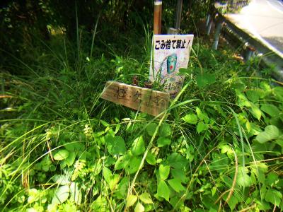 ずいぶん古いけど樫ヶ峰への道標のような看板があった