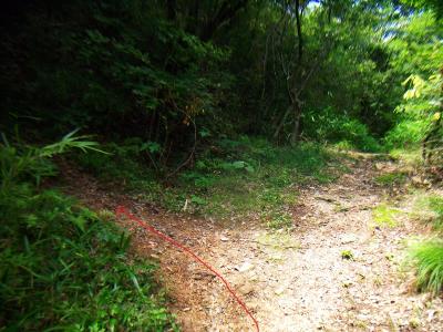 登山口に入った瞬間にどっちに行くか迷ってしまうが、ここを左へ。階段があるので登っていく