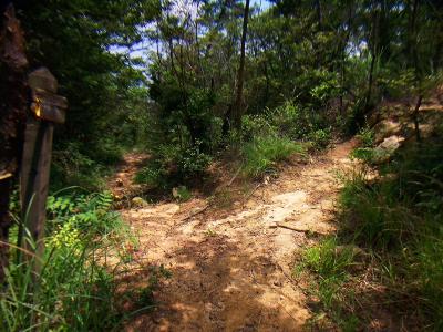 ゴルフ場分岐。ゴルフ場のほうに下りていかないように注意