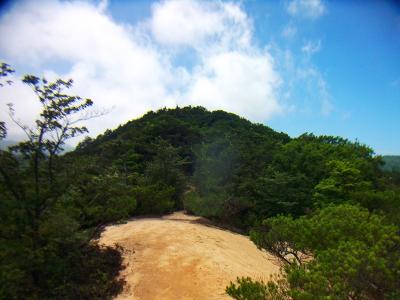 樫ヶ峰のピークが見えてきた。この辺からの展望がグッド！