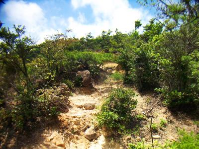 ここから少しこういった岩と砂場の道が続く