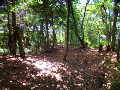 ここが樫ヶ峰の山頂になる
