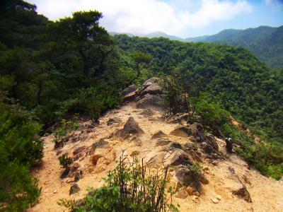 これが馬の背ってことかな！？