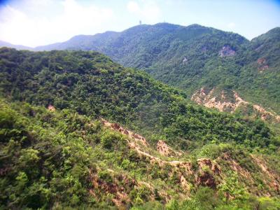 この付近の山は岩が少しむき出しになったところが多いのかな