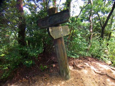 東三ツ辻。ここより一旦キレット峰へ