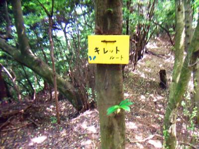 こっちはキレットルートらしい。黄色に塗りたおしたって感じの木のプレートだった