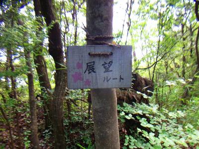 続いて社家郷山を目指す。ここからは展望ルートらしいけど、たまたま見つけたプレートなのよね