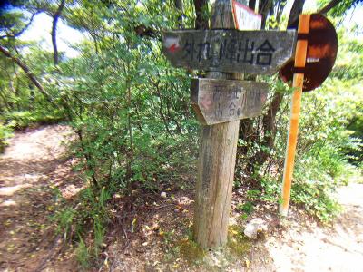 小笠峰出合。ここから一旦小笠峰へピストンする