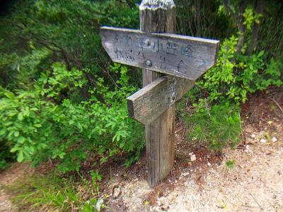 外れ峰出合。ここの分岐よりキジ谷ルートだけど、一旦は外れ峰をピストンする