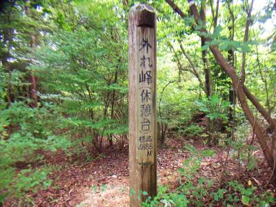 外れ峰（休憩台）に到着。標高は488.6mらしい