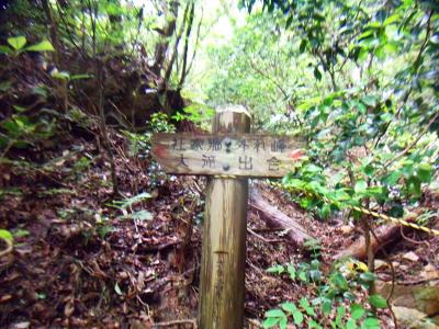 ピストンで分岐に戻ってキジ谷ルートから社家郷山キャンプ場へ向かう