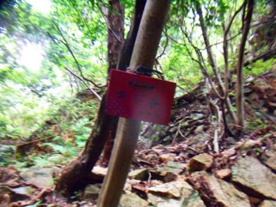 沢筋のルートでこのプレートが目印になっているようだ