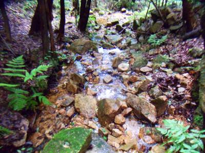 このようなガレ場、沢筋をそのまま下っていく