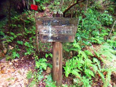 社家郷大滝の看板。つめたいと書いてるけど、この付近の沢の水はあまり触れたくないな