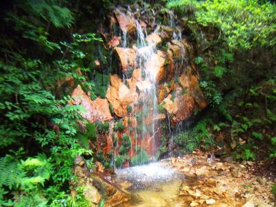 これが社家郷大滝なのか！？大滝というほどのスケールでなかったかも