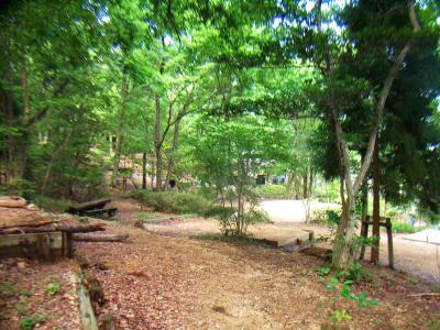 社家郷山キャンプ場に着いた