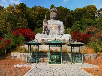 七宝寺で大仏を見る。しばらくこの辺りを周回していた