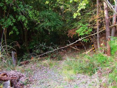 まず、釈迦ヶ岳への入山は七宝寺の舗装道から尾根の取り付きであると思われるこの付近から入っていく