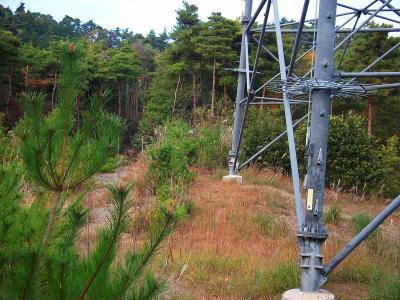 しばらくすると鉄塔に出るので、ここまでくると舗装道が見える