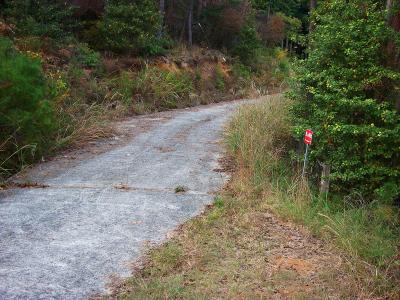舗装道に出たら右へあがっていく