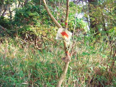 舗装道の終点から右へ行くと「のせでんハイキング」のプレートがあって尾根へ向かって矢印がある。これに従って尾根を登っていく