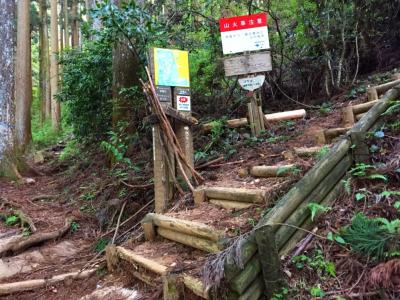 最初にある登山口の分岐。今回は根古峰にいくのでいわわきの道を登っていく