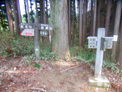 ここでダイトレ分岐。根古峰は左なのでまずは左へ行く