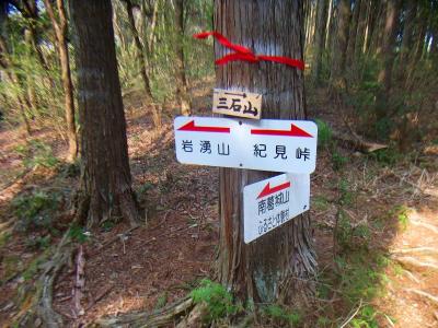 南葛城山へのコース分岐。いつかここから南葛城山へ行ってみたいな