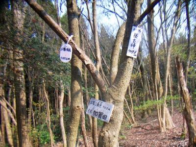 根古峰山頂(749.6m)に到着。何もない山頂であったことはいうまでもない