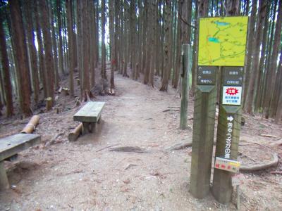 急ぎ戻って、きゅうざかコースとの分岐である東峰へ。この近くで同行者達に追いついた