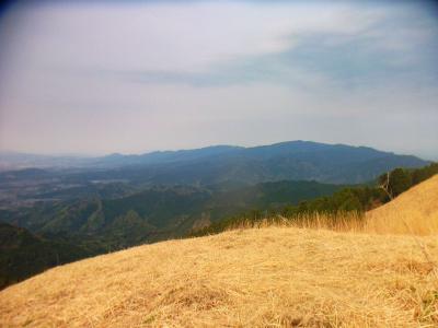 東側は金剛山と大和葛城山も見える