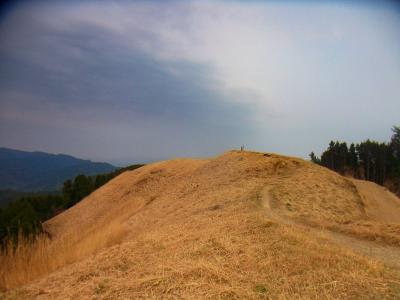 こういうアングルも撮ってみた。こういうことができるのもここならではかもね