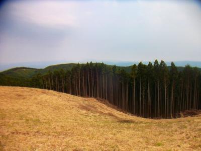 ここから大峰山脈も見えるはずなんだけど今日は霞んでダメだね