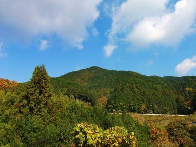 千早口駅から山を見るがあれは田山かな！？府庁山ではなさそうだ