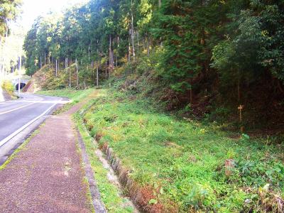 千早口駅から南河内グリーンロードを歩いていてトンネルが見えて、すぐ右側にクヌギ峠への登山口がある