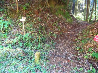 ここが登山口となって入山する