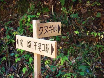 まずはクヌギ峠へ向かう