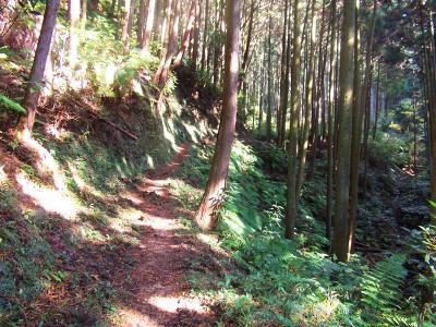 クヌギ峠までは沢筋に沿ったなだらかな登りが続く