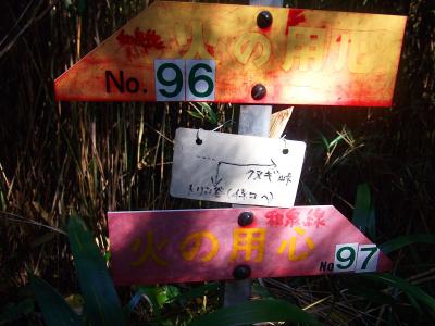 マジックで書かれているが、この分岐を右で正解のようだ