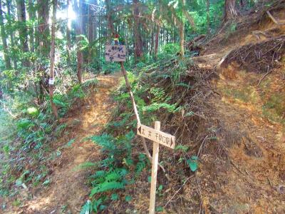 クヌギ峠は三差路になっていて、上看板の府庁山に従い右側を登っていく