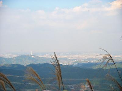 登りきったあたりから伐採地になり、北側の展望がよくなる