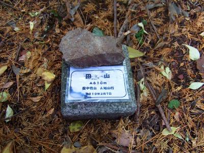 ここで田山山頂(610m)に到着。標高は541mなのでは！？