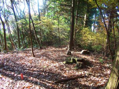 ピークに登ったけど、どうやらここは府庁山ではないようだ