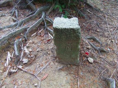 府庁山山頂付近から100mほど進んだあたりの三差路。まさかここが山頂ではないでしょう。地図だとここを西、つまり右が正解