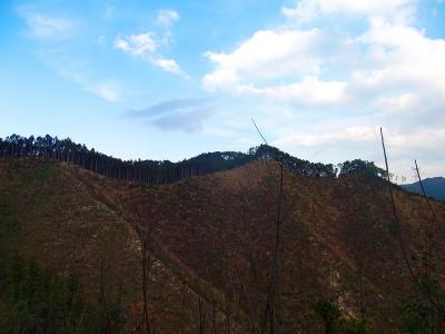 見事に伐採されていて周囲は見渡せるけど展望がないね