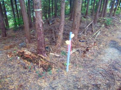 ここで間違えて関電コースの分岐で旗尾岳にいくつもりが十字峠のほうに下ってしまった。もうそのまま集落にでて天見駅へ向かった