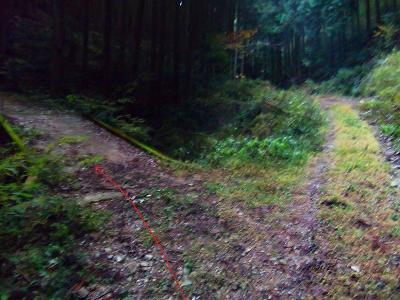 方角、地図からしてもここは左側の橋を渡る（直進すると道がなくなるっぽい）