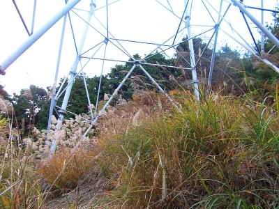 山頂手前の鉄塔にでた。あともう少し