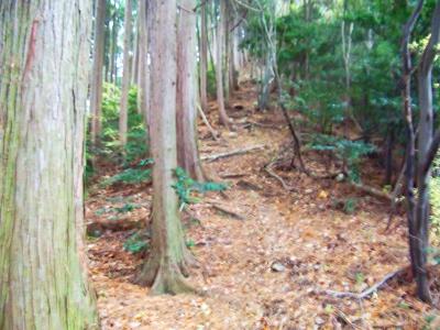 鉄塔からさらに急登になる。ここを登りきると旗尾岳山頂