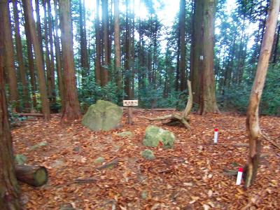 どうやら旗尾岳山頂らしい。樹林に囲まれた山頂で何もない